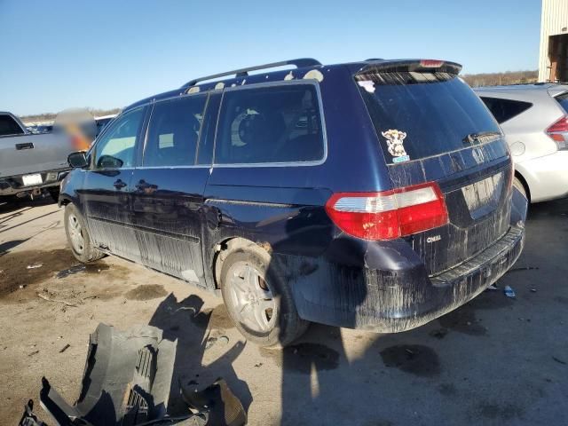 2005 Honda Odyssey EXL