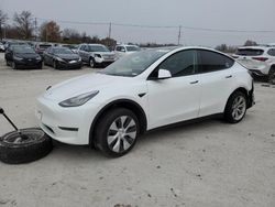 Tesla salvage cars for sale: 2021 Tesla Model Y