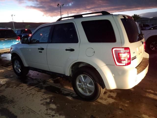 2010 Ford Escape XLT