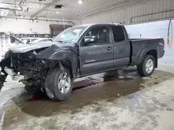 Toyota salvage cars for sale: 2013 Toyota Tacoma