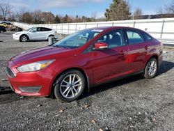 2016 Ford Focus SE en venta en Grantville, PA