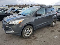 Salvage cars for sale from Copart Pennsburg, PA: 2016 Ford Escape SE