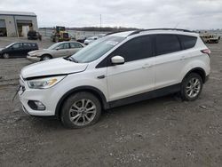 Salvage cars for sale at Earlington, KY auction: 2017 Ford Escape SE