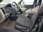 2008 Ford Escape HEV