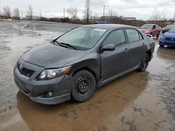 Toyota salvage cars for sale: 2010 Toyota Corolla Base