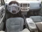 2004 Ford Escape XLT