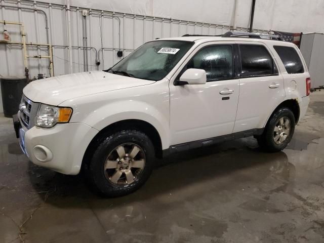 2011 Ford Escape Limited