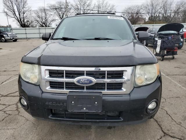 2008 Ford Escape XLT