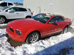 Lotes con ofertas a la venta en subasta: 2006 Ford Mustang