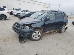 Toyota salvage cars for sale: 2010 Toyota Rav4