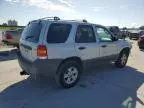 2006 Ford Escape XLT