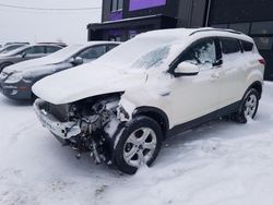 Ford Escape Vehiculos salvage en venta: 2013 Ford Escape SE