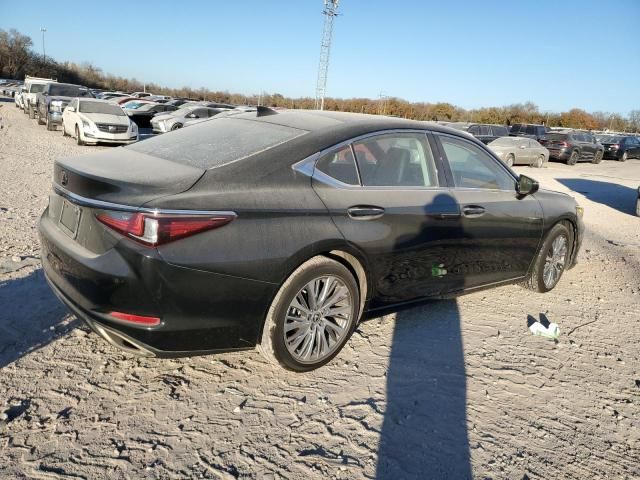 2019 Lexus ES 350