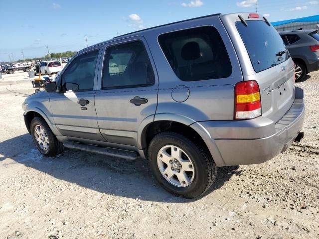 2007 Ford Escape XLT