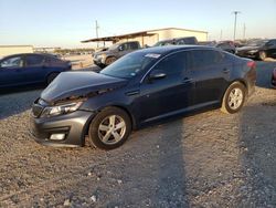 Salvage cars for sale at Temple, TX auction: 2015 KIA Optima LX