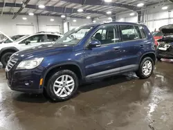 Salvage cars for sale from Copart Ham Lake, MN: 2011 Volkswagen Tiguan S