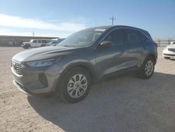 Ford Escape act salvage cars for sale: 2024 Ford Escape Active