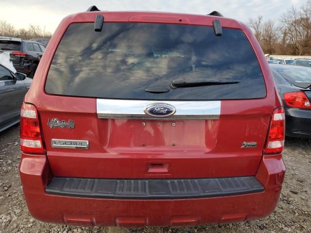 2011 Ford Escape Limited