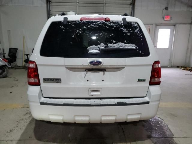 2011 Ford Escape XLT