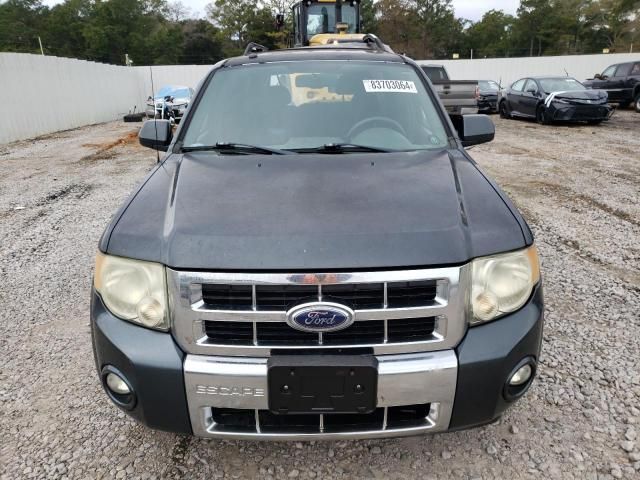 2008 Ford Escape Limited