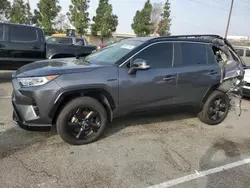 Salvage cars for sale at Rancho Cucamonga, CA auction: 2021 Toyota Rav4 XSE