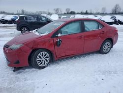 Toyota Corolla l Vehiculos salvage en venta: 2019 Toyota Corolla L