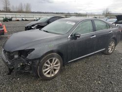 Salvage cars for sale at Arlington, WA auction: 2010 Lexus ES 350