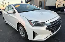 Hyundai Elantra salvage cars for sale: 2019 Hyundai Elantra SE