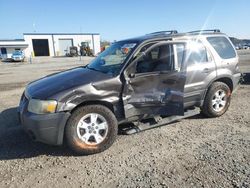 Salvage cars for sale at Lumberton, NC auction: 2006 Ford Escape XLT