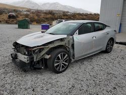 Nissan Maxima salvage cars for sale: 2019 Nissan Maxima S