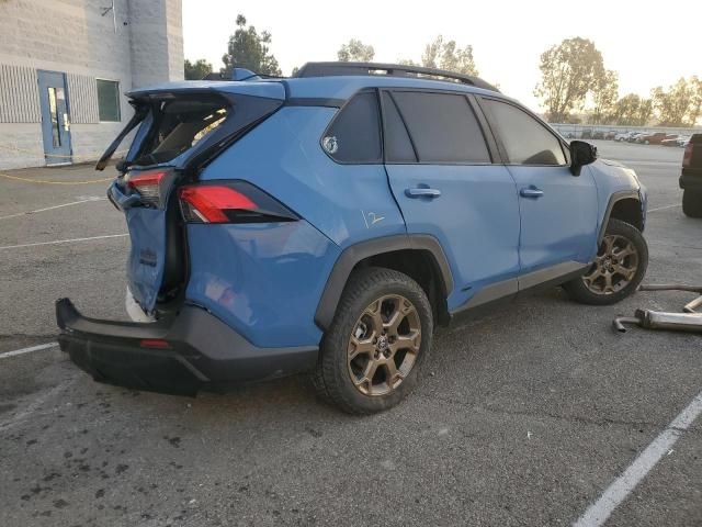 2023 Toyota Rav4 Woodland Edition