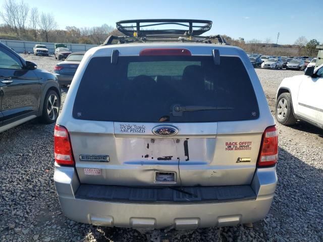 2010 Ford Escape XLT