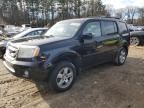 2011 Honda Pilot EXL