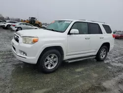 Toyota salvage cars for sale: 2011 Toyota 4runner SR5