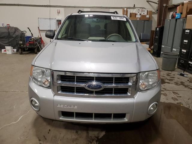 2008 Ford Escape XLT