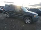 2005 Ford Escape XLT