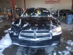 2013 Dodge Charger SE