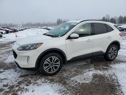 Salvage cars for sale at Angola, NY auction: 2020 Ford Escape SEL