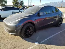 Salvage cars for sale at Rancho Cucamonga, CA auction: 2023 Tesla Model Y