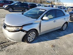 Salvage cars for sale at Spartanburg, SC auction: 2013 KIA Forte EX