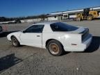 1991 Pontiac Firebird Trans AM