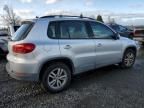 2015 Volkswagen Tiguan S