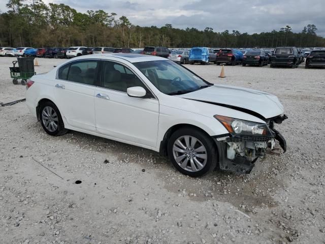 2011 Honda Accord EXL