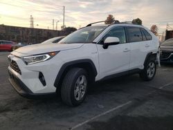 Salvage cars for sale at Wilmington, CA auction: 2021 Toyota Rav4 XLE