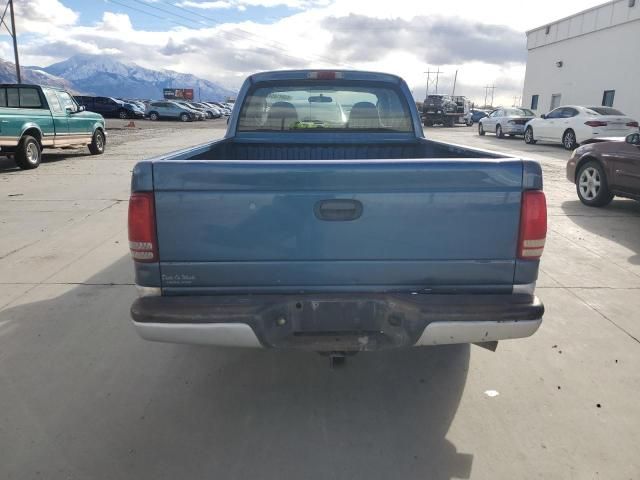 2004 Dodge Dakota SLT