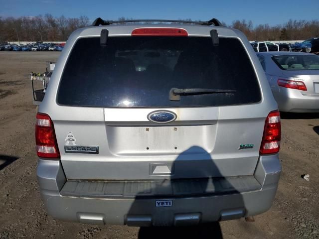 2010 Ford Escape XLT