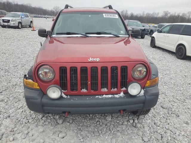 2006 Jeep Liberty Renegade