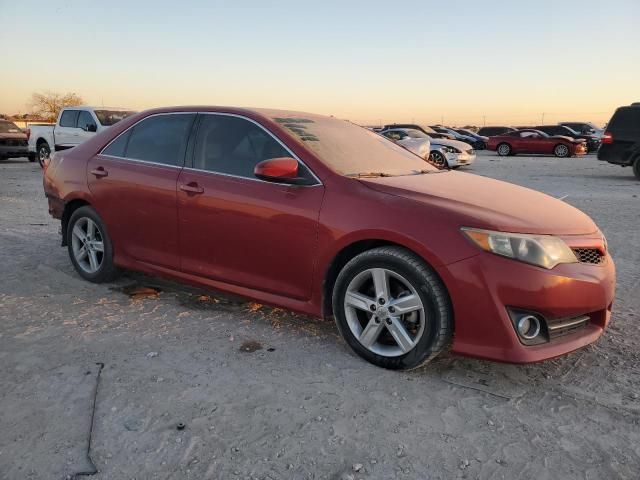 2013 Toyota Camry L