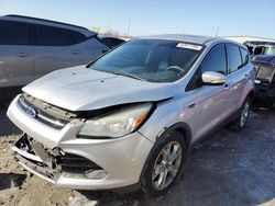 Ford Escape sel salvage cars for sale: 2013 Ford Escape SEL