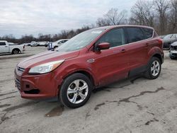 Salvage cars for sale at Ellwood City, PA auction: 2014 Ford Escape SE